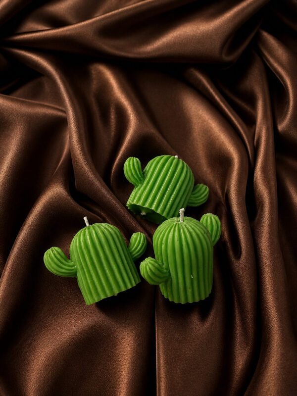 Cactus Candle - Set of 2