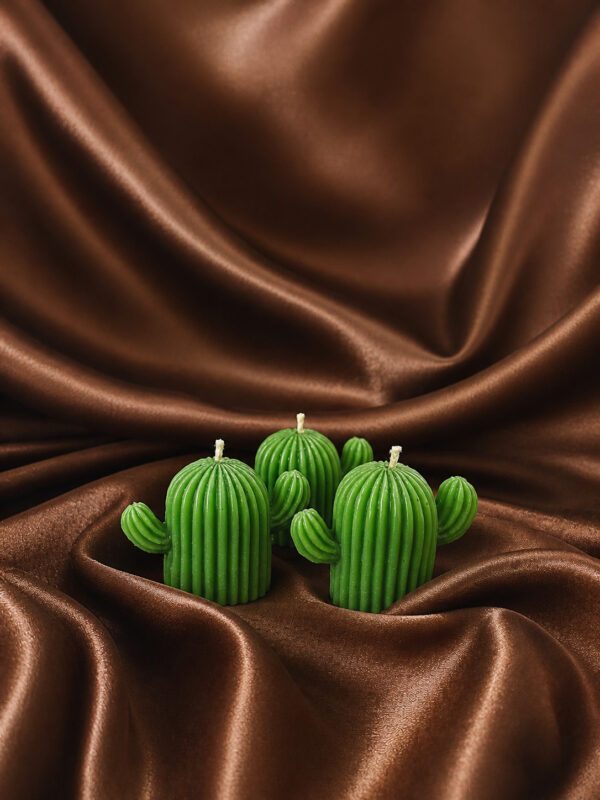 Cactus Candle - Set of 2